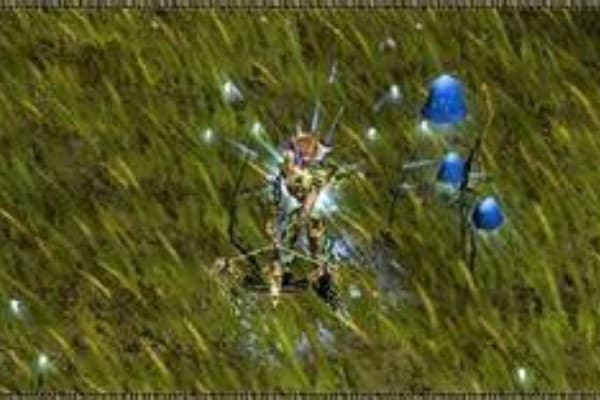 奇迹来了SF版本怎么选？职业玩家推荐下载与实战攻略