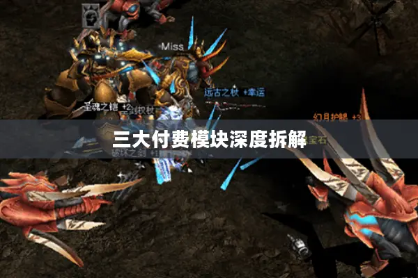 三大付费模块深度拆解