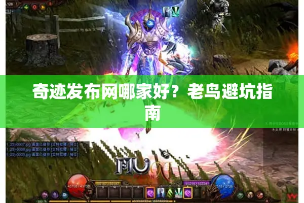 奇迹发布网哪家好？老鸟避坑指南