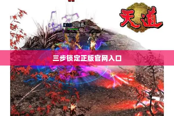 三步锁定正版官网入口