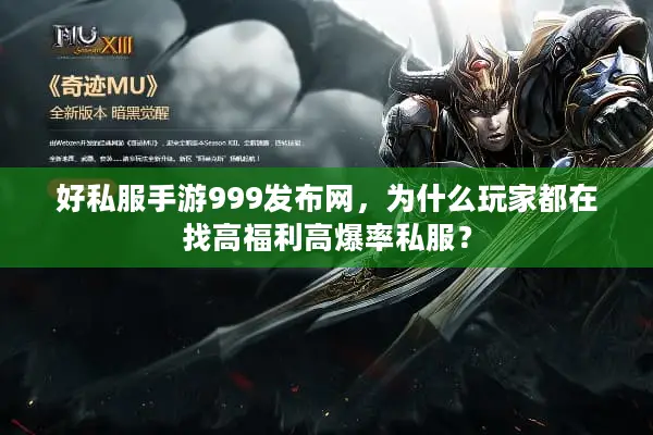 好私服手游999发布网，为什么玩家都在找高福利高爆率私服？