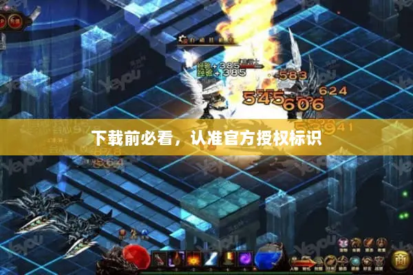 下载前必看，认准官方授权标识