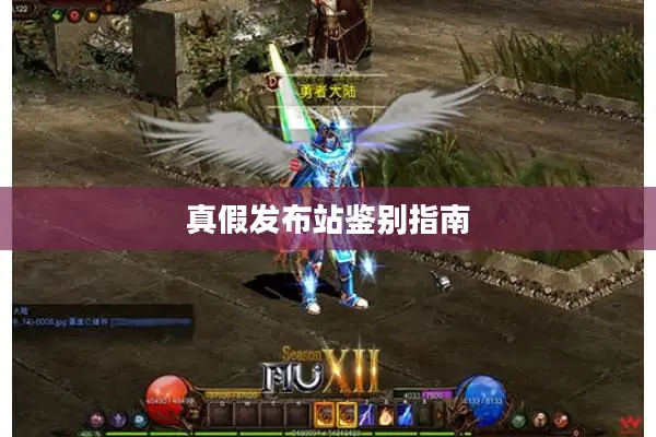 真假发布站鉴别指南