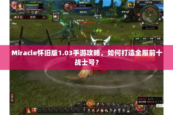 Miracle怀旧版1.03手游攻略，如何打造全服前十战士号？
