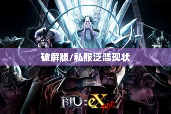 破解版/私服泛滥现状