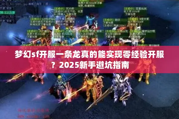 梦幻sf开服一条龙真的能实现零经验开服？2025新手避坑指南