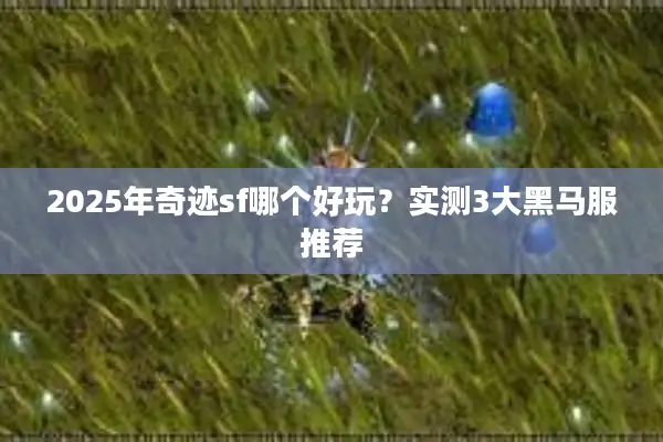 2025年奇迹sf哪个好玩？实测3大黑马服推荐