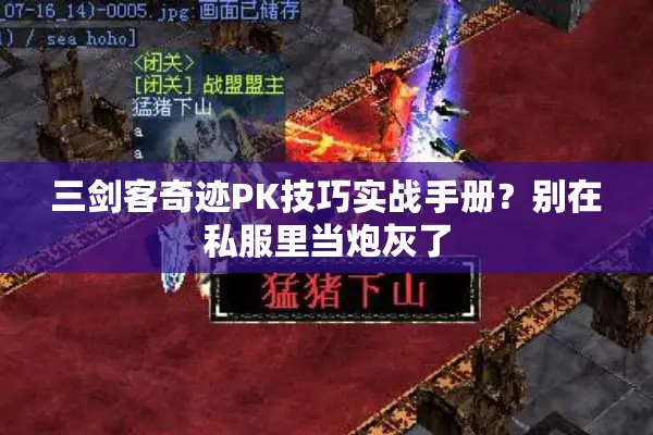 三剑客奇迹PK技巧实战手册？别在私服里当炮灰了