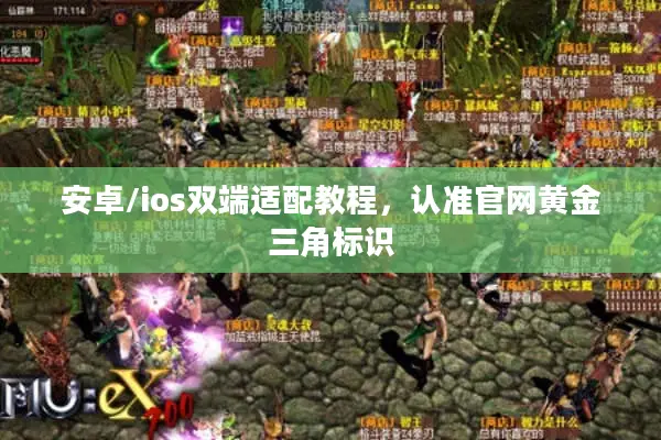 安卓/ios双端适配教程，认准官网黄金三角标识