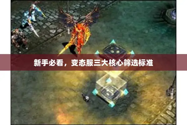 新手必看，变态服三大核心筛选标准