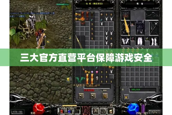 三大官方直营平台保障游戏安全 三大官方直营平台保障游戏安全