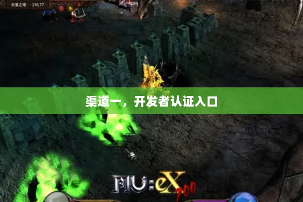 渠道一，开发者认证入口