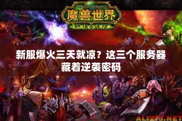 新服爆火三天就凉？这三个服务器藏着逆袭密码