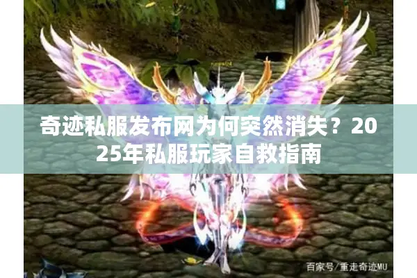 奇迹私服发布网为何突然消失？2025年私服玩家自救指南