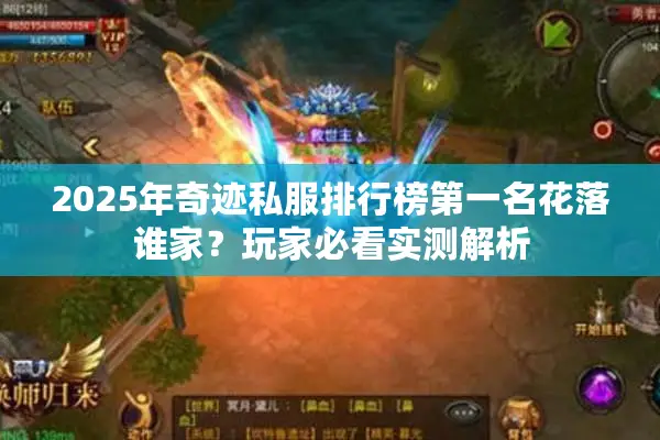 2025年奇迹私服排行榜第一名花落谁家？玩家必看实测解析