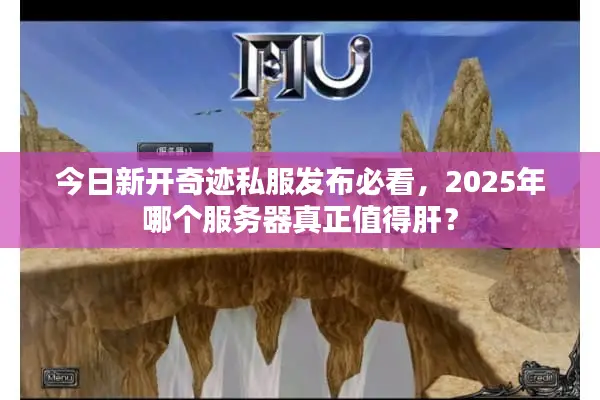 今日新开奇迹私服发布必看，2025年哪个服务器真正值得肝？