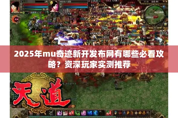 2025年mu奇迹新开发布网有哪些必看攻略？资深玩家实测推荐