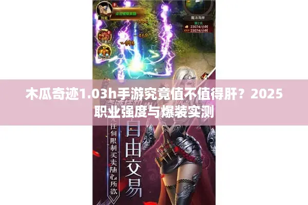 木瓜奇迹1.03h手游究竟值不值得肝？2025职业强度与爆装实测
