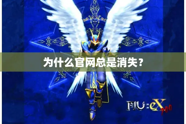 为什么官网总是消失？