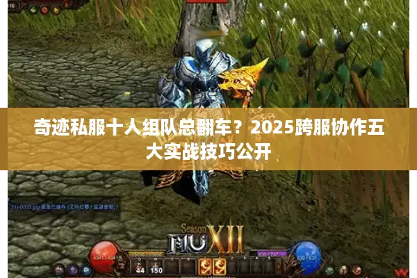 奇迹私服十人组队总翻车？2025跨服协作五大实战技巧公开