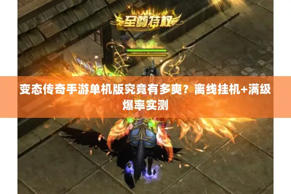 变态传奇手游单机版究竟有多爽?离线挂机+满级爆率实测 变态传奇手游单机版究竟有多爽?离线挂机+满级爆率实测