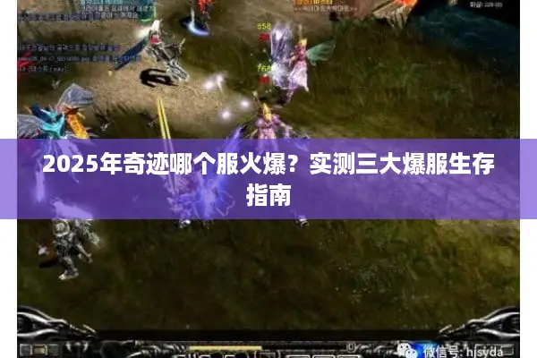 2025年奇迹哪个服火爆？实测三大爆服生存指南