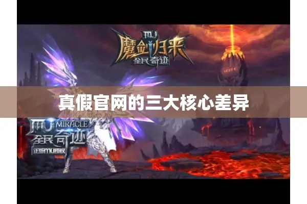 真假官网的三大核心差异