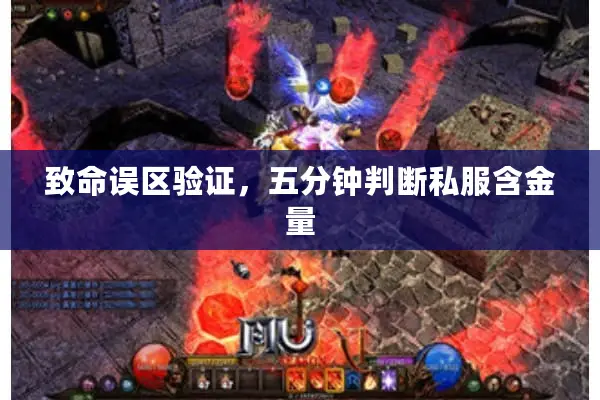 致命误区验证，五分钟判断私服含金量