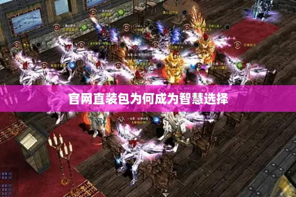 官网直装包为何成为智慧选择