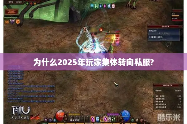 为什么2025年玩家集体转向私服?