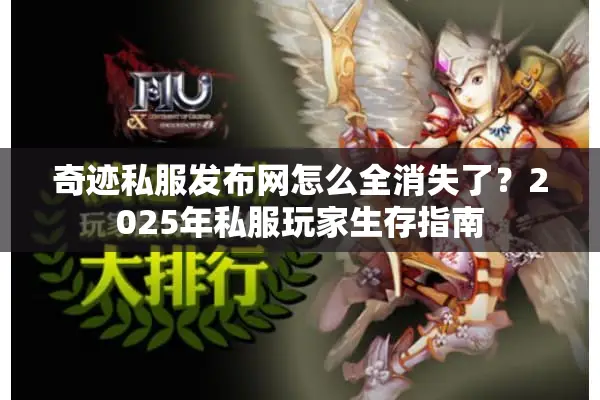 奇迹私服发布网怎么全消失了？2025年私服玩家生存指南