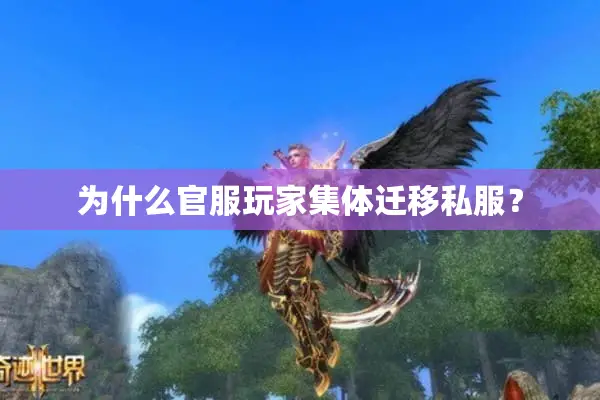 为什么官服玩家集体迁移私服？