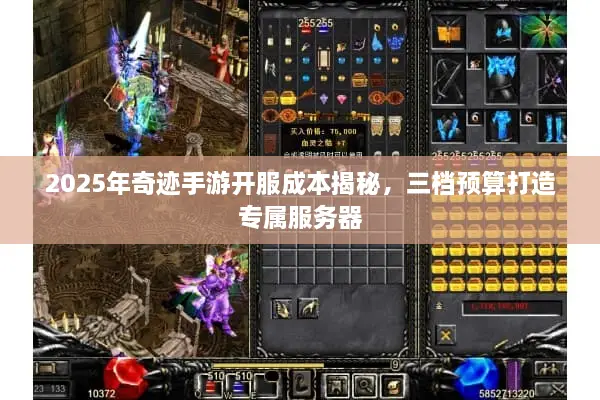 2025年奇迹手游开服成本揭秘，三档预算打造专属服务器