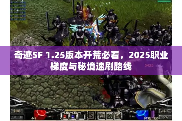 奇迹SF 1.25版本开荒必看，2025职业梯度与秘境速刷路线