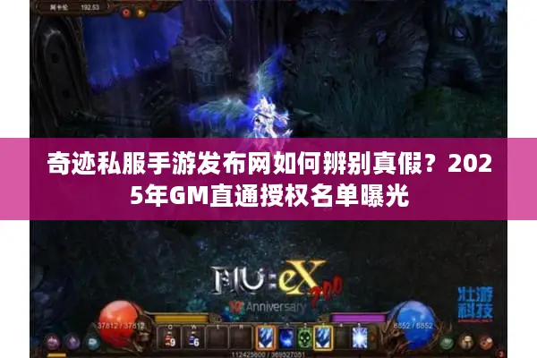 奇迹私服手游发布网如何辨别真假?2025年GM直通授权名单曝光 奇迹私服手游发布网如何辨别真假?2025年GM直通授权名单曝光