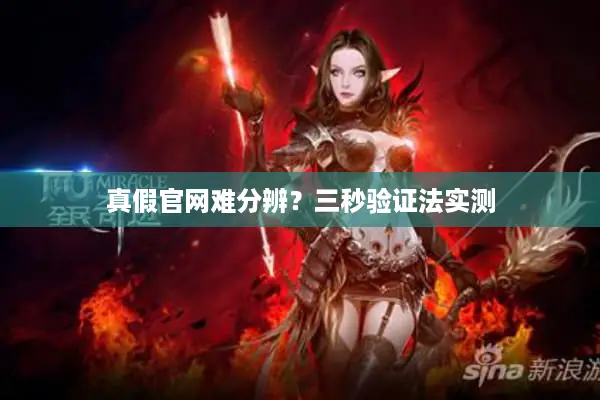 真假官网难分辨？三秒验证法实测