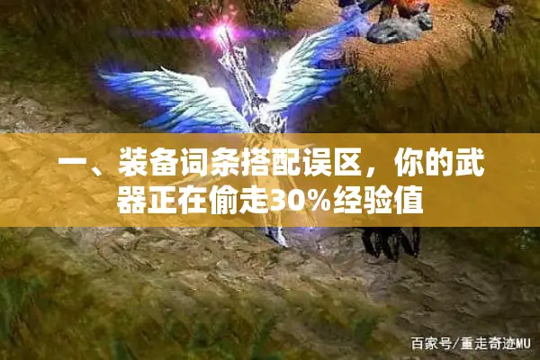 一、装备词条搭配误区，你的武器正在偷走30%经验值