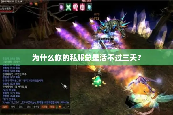 为什么你的私服总是活不过三天？