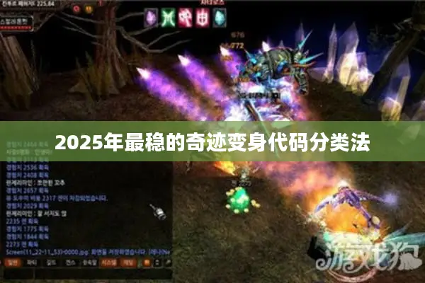 2025年最稳的奇迹变身代码分类法