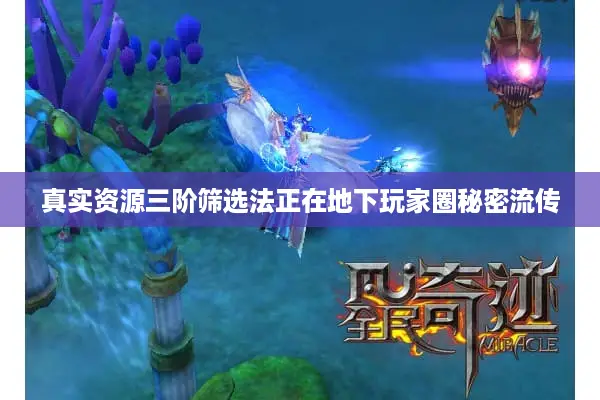 真实资源三阶筛选法正在地下玩家圈秘密流传