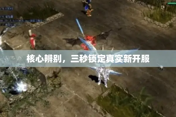 核心辨别，三秒锁定真实新开服