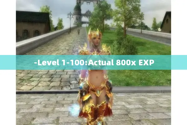 -Level 1-100:Actual 800x EXP