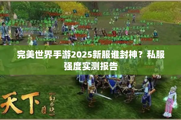 完美世界手游2025新服谁封神?私服强度实测报告 完美世界手游2025新服谁封神?私服强度实测报告