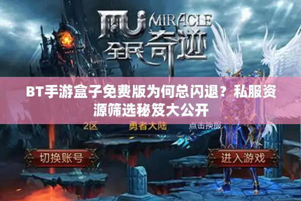 BT手游盒子免费版为何总闪退？私服资源筛选秘笈大公开