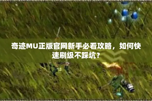 奇迹MU正版官网新手必看攻略，如何快速刷级不踩坑？