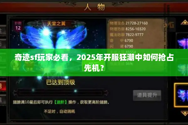奇迹sf玩家必看，2025年开服狂潮中如何抢占先机？