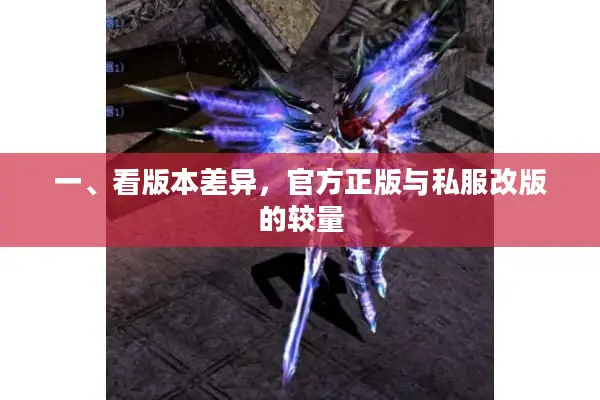 一、看版本差异，官方正版与私服改版的较量