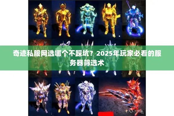 奇迹私服网选哪个不踩坑？2025年玩家必看的服务器筛选术