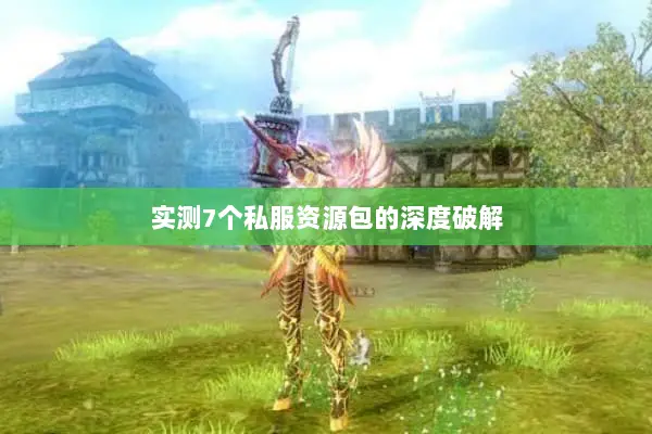 实测7个私服资源包的深度破解 实测7个私服资源包的深度破解