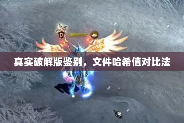 真实破解版鉴别,文件哈希值对比法 真实破解版鉴别,文件哈希值对比法